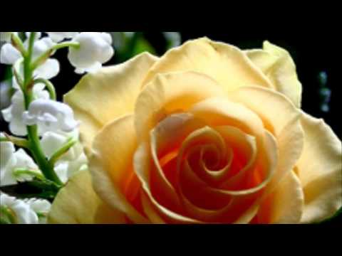 Olympic... ♥♥♥Nějak se vytrácíš má lásko♥♥♥