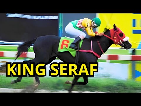 KING SERAF: 7 VICTORIAS de Uno de los mejores caballos de la primera década de la RINCOPNADA