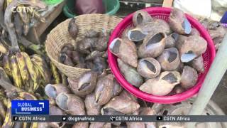 Slurping up snails in Nigeria