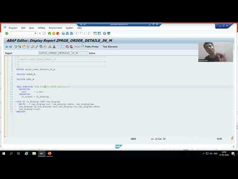 Sap Modularization Techniques