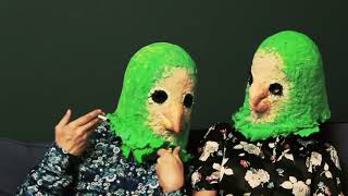 Video Parrots-teaser song Denervni by ZED JONES - invitation to music-