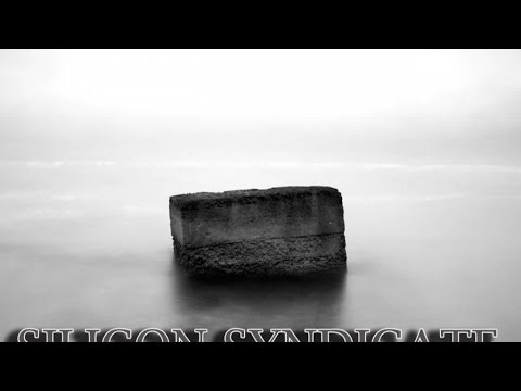 Silicon Syndicate - Disintegrated Circuit