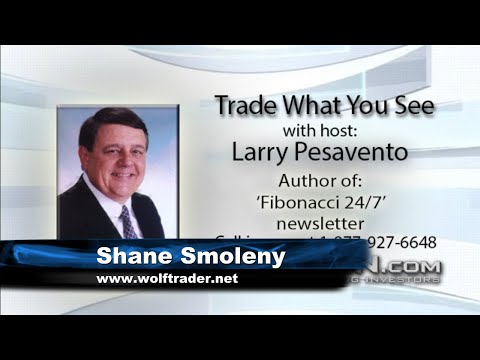 December 15th, Trade What You See with Larry Pesavento on TFNN - 2020