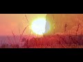 The Lion King Live Action Trailer Hd