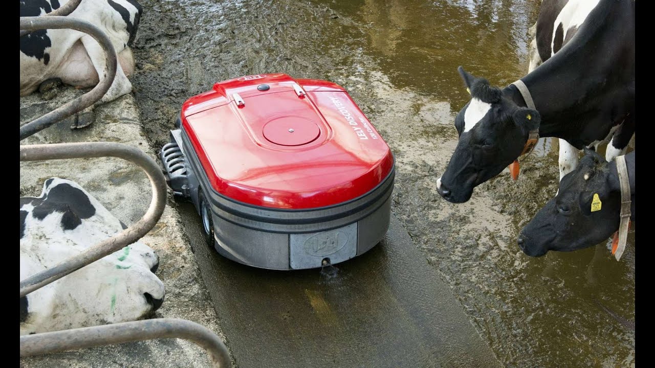 Lely Collector til Asgeir Pollestad