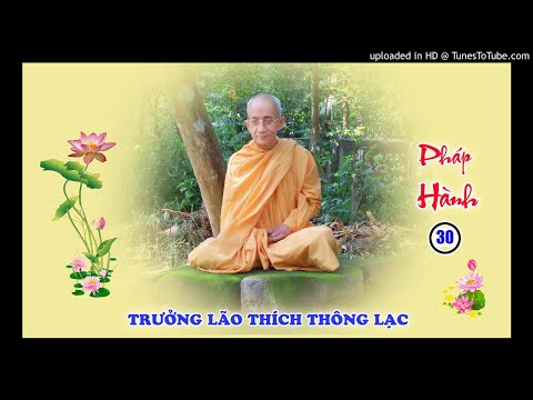 Pháp Hành 30: Cách thức tu tập Định Niệm Hơi Thở - Trưởng lão Thích Thông Lạc