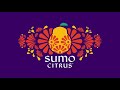 Sumo Citrus 2020 Season Is Here
