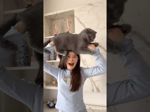 Akımı yapayım diye hayatımı tehlikeye attım🙀😽 #dancevideo #tarkan #funnyvideo #cat