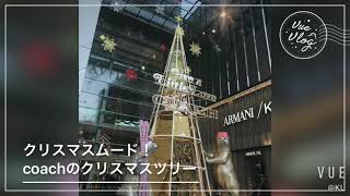 パビリオンのクリスマスデコレーション
