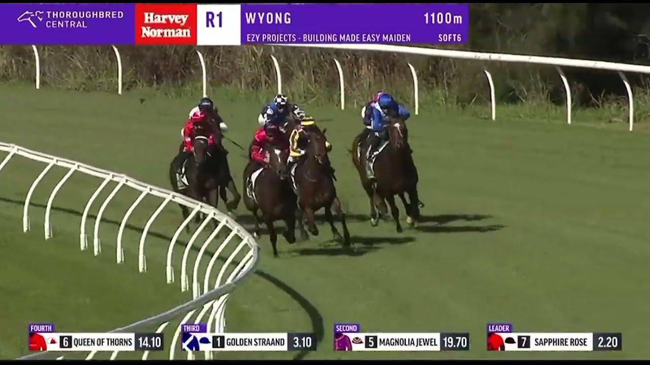 Sapphire Rose Wins On Debut!