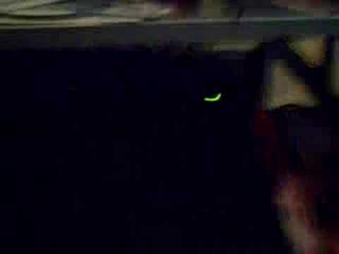 How the ZBoard Works