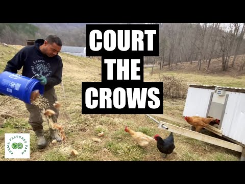 We Feed MOLDY Bread! And WHY?