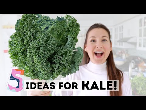 What to do with ALL THAT KALE? 5 Ideas for Using it Up + Health Benefits of KALE!