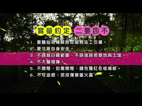 2020影片-平地森林賞螢趣