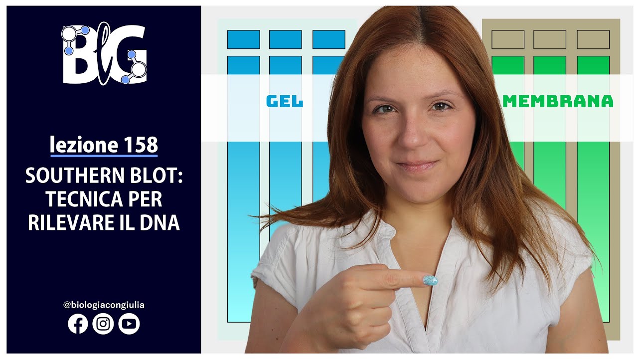 SOUTHERN BLOT: tecnica per rilevare il DNA