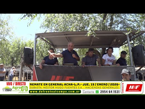 REMATE FERIA de NÉSTOR HUGO FUENTES S.A. - JUEVES 15 / ENERO / 2026 - GENERAL ACHA -L.P.-
