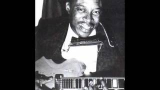 Jimmy Reed - Good Lover  （1962）
