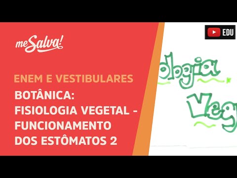 Me Salva! BOT29 - Botânica - Fisiologia vegetal: funcionamento dos estômatos II