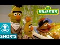 Sesame Street Bert And Ernie Water Sports
