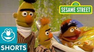 Sesame Street: Bert And Ernie Water Sports