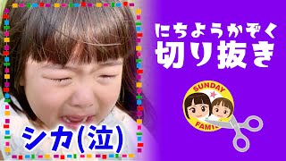 【切り抜き】奈良公園シカの寸止めアタックに大号泣｜にちようかぞく名場面 #shorts