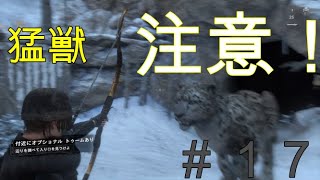 【トゥームレイダー】#17美しき冒険者:熊の次はコイツかよ【KoC オヤビン＆コビン】