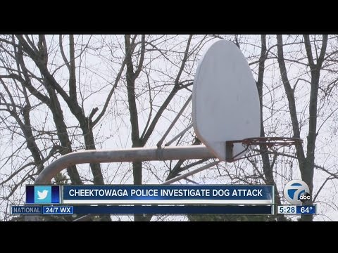 Cheektowaga police investigate dog attack