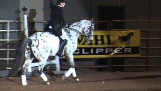 Pam Fowler Grace/Pay N Go - Equus America