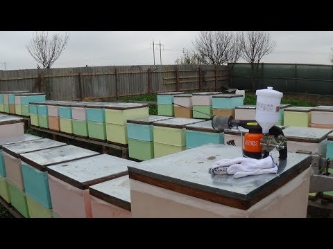 Время второй обработки ТАКТИКОМ, пчела осенью