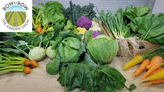 Why You Should Plant a Winter Garden