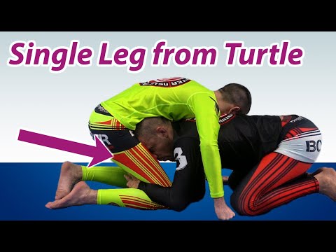 Single Leg From Turtle (3 options)
