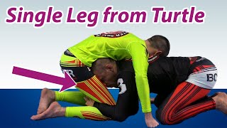 Single Leg From Turtle (3 options)