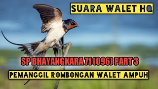 Download lagu Suara Walet Terbaik - SP Bhayangkara 71 192 mp3 Download lagu Suara Walet Terbaik - SP Bhayangkara 71 192 mp3