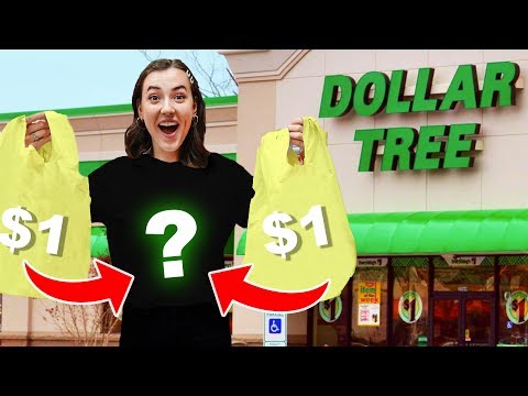 Making Clothes Out Of Things From The Dollar Store! Video