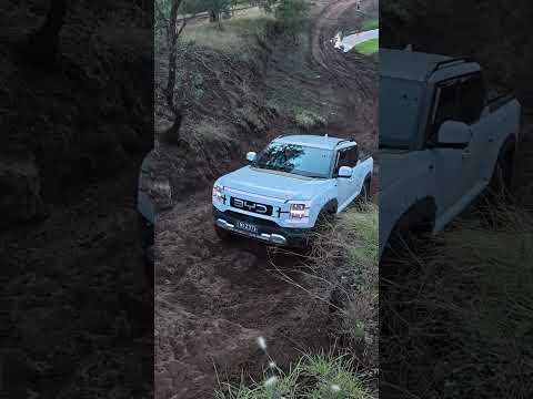 Stock BYD Shark Does Hard Hill Climb #byd #offroad #4x4 #4wd