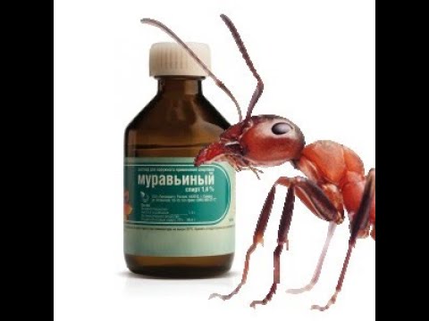 Муравьиная кислота купить в аптеке цена. Кислота лесных муравьев. Муравьиная кислота в медицине. Муравьи и муравьиная кислота. Лекарство из муравьёв.