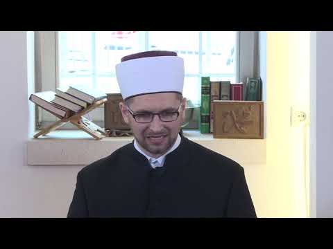 Poslanikovo naslijeđe (19) - mr. Sejid-ef. Strika