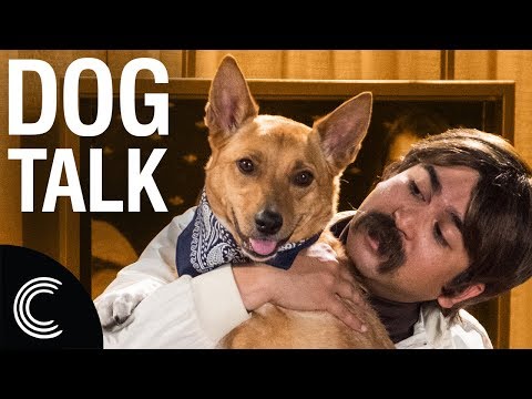 The Dog Whisperer with Farley Archer: Doggy Depression