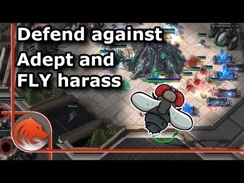 StarCraft 2: *NEW* Fly Harassment Strategy!