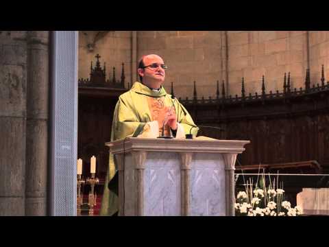 Homilía de Mons Munilla 4-8-2013