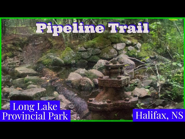 Trail Video Preview