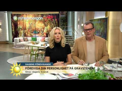 Det skulle Jenny och Steffo skriva på sina gravstenar - Nyhetsmorgon (TV4)