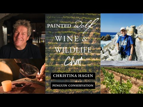 Wine & Wildlife Chat Birdlife South Africa Christina Hagen