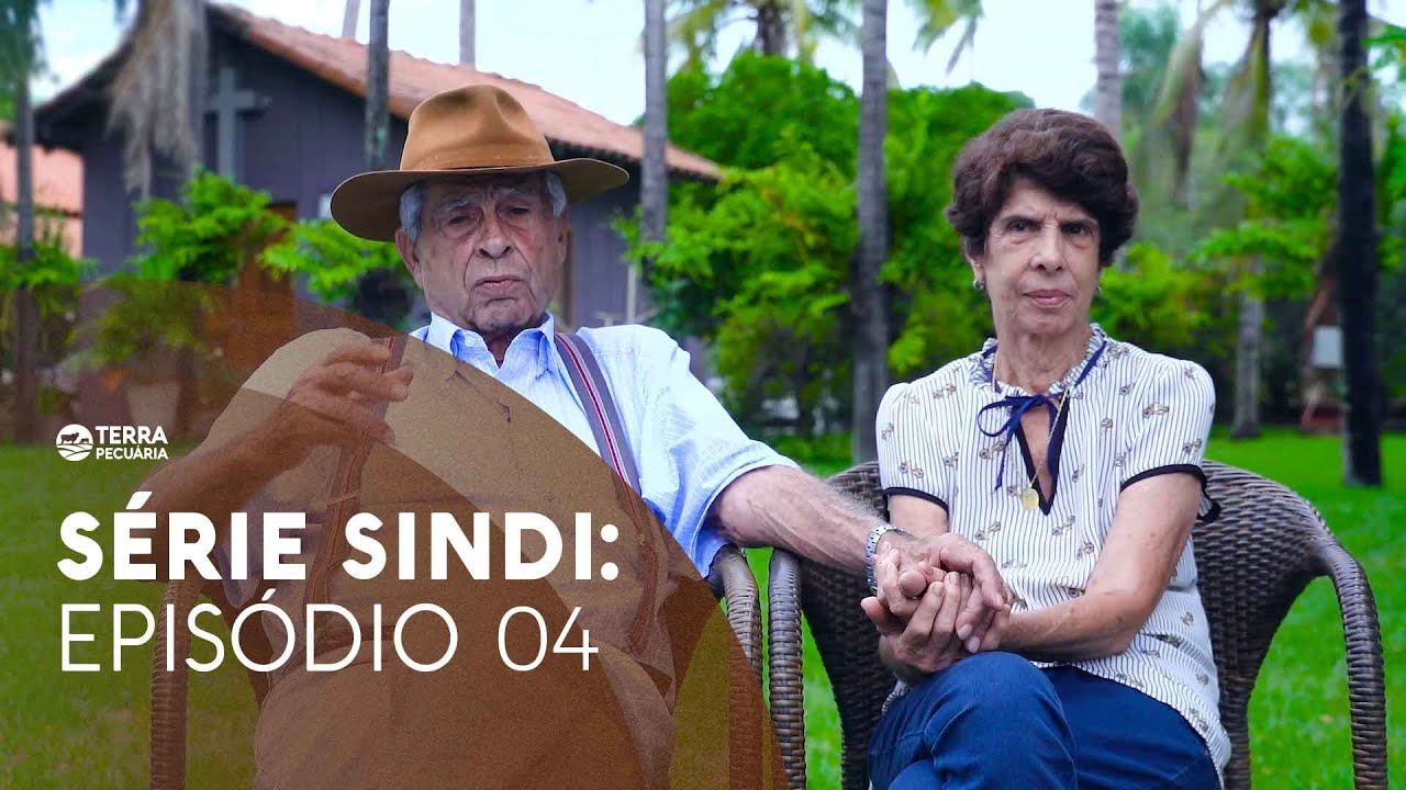 TERRA PECUÁRIA - SÉRIE SINDI: UMA RAÇA E SUAS INÚMERAS APTIDÕES (EPISÓDIO 04)