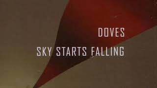 Doves - The Storm (Rebelski Remix)
