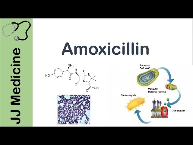 Video Uitspraak van amoxicillin in Engels