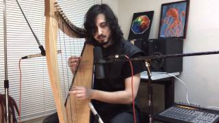 Skyrim - Age of Aggression Harp Cover
