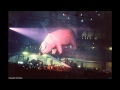 Pink Floyd LIVE ~ PIGS ~ Rowdy Cleveland Show ...