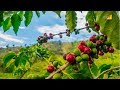 Curso Administração da Pequena Empresa Rural