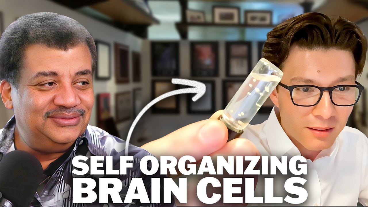 Groundbreaking Studies Recreate Human Brain Circuits in a Dish